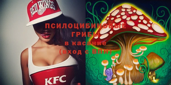 первитин Коряжма