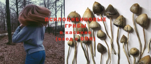 мет Гусь-Хрустальный
