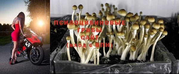 бутират Гусев