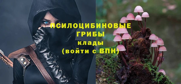 первитин Коряжма