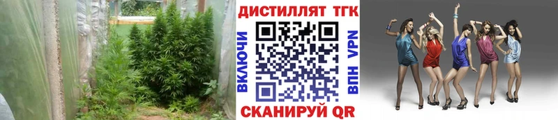 Дистиллят ТГК гашишное масло  Усть-Лабинск 