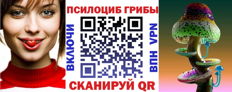 Псилоцибиновые грибы Cubensis  Усть-Лабинск 